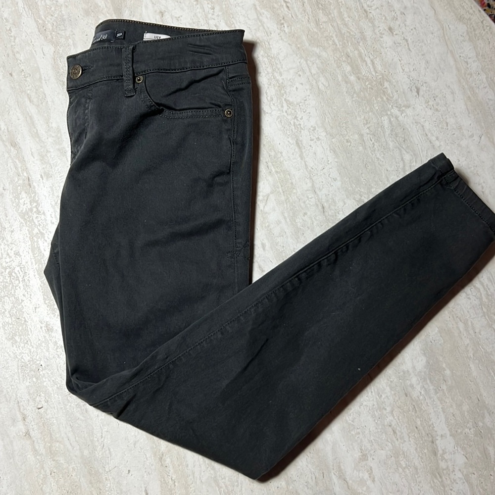 Level 99 Lily Skinny Straight Petite Pants in charcoal